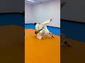 허리 잡고 하는 기술 2가지 Full hip grip throw