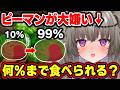 【吐いたら即終了】大嫌いなピーマン、ハンバーグに混ぜたら何%まで食べられる？ギリギリチキンハンバーグ！【Vtuber/冥鳴ひまり】