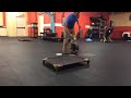 Dog Training | Day one Clicker training | Solid K9 Training Dog Training Dog Training | Day one Clicker training | Solid K9 Training Dog Training