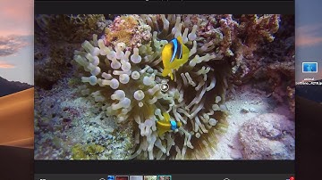 WidsMob Viewer Pro - How to View Photos and Videos on Mac easily and professionally