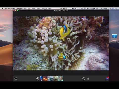 WidsMob Viewer Pro - How to View Photos and Videos on Mac easily and professionally