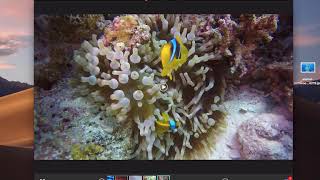 WidsMob Viewer Pro - How to View Photos and Videos on Mac easily and professionally