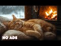 Healing Music for Cats with Anxiety 🐾 Deep Soothing Sound for Deep Relaxation and Sleep