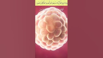 آيات عطرة من سورة  يس  قراءة نادرة بصوت من أجمل ما تسمع