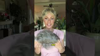 IRIS by Jon Renau | Heat-Friendly Synthetic Pixie Wig | Lace Front | Try On