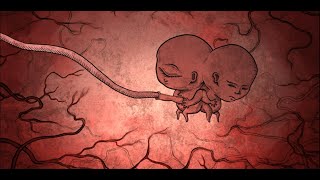 Life Gallery | Chapter 1 - Part 1 ( Origin, Twins, Who are you?, Separation, Equally weight  ) screenshot 5