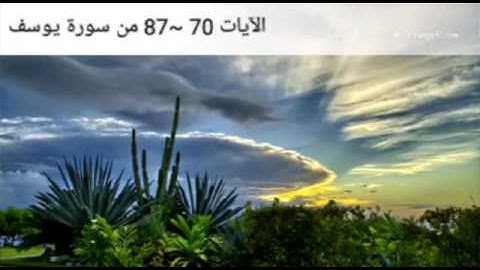 تلاوة خاشعة بصوت الشيخ وليد مهساس ،تراويح 2016 | الآيات 70~87 من سورة يوسف