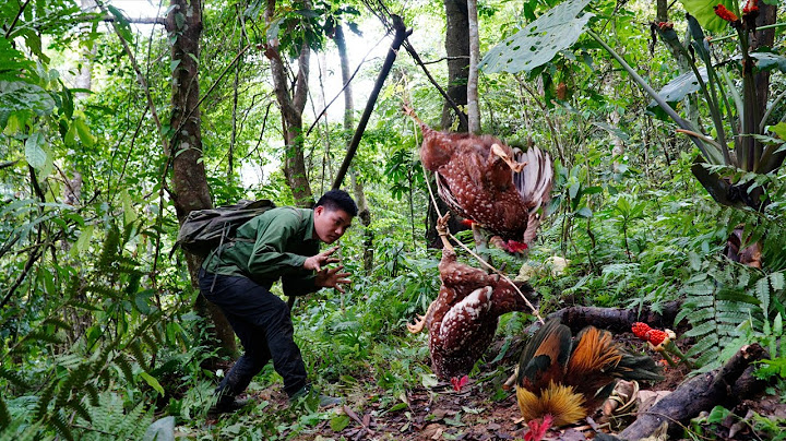 Full Video: 25 Days Alone in the Wild Facing Dangerous Animals | Survival Skills