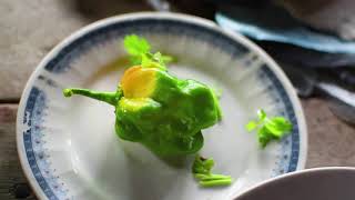 Chunhuhub: una cultura viva.