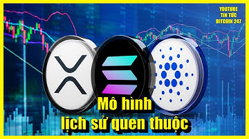XRP lặp lại mô hình lịch sử quen thuộc, SOL và ADA tiếp tục gặp khó khăn