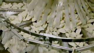 Frozen dumpling weighing filling system