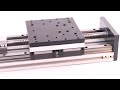 150mm Wide Heavy Duty Linear Ballscrew Sliding Table Linear Stage