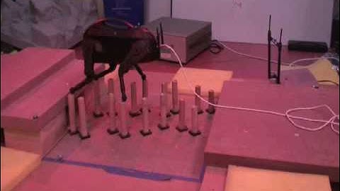 LittleDog Clips and Outtakes