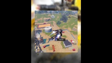 Funny Dog Tag Scan Moments