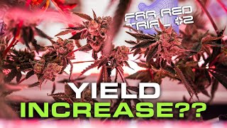 Yield Increase? Gelonade Harvest Far Red Trial With Under Canopy Lighting