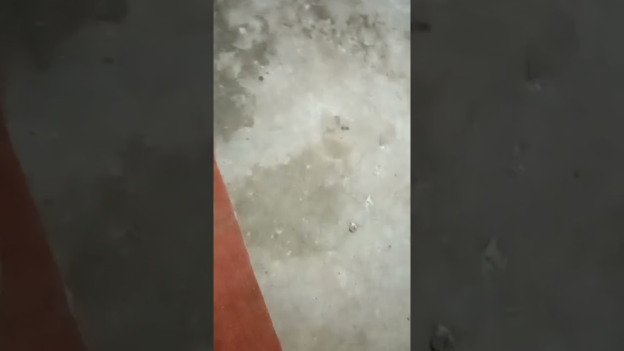 ������������