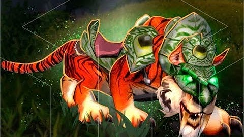 !Combat Rogue! Solo Swift Zulian Tiger boss P3 WoTLK