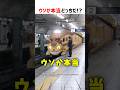 【何問正解できる？】ウソか本当どっちだ！？ part102 #ショート #クイズ #shorts #猫 #かわいい #cat #funny #電車