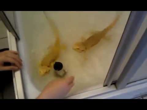 the construction of spin eigenfunctions an exercise