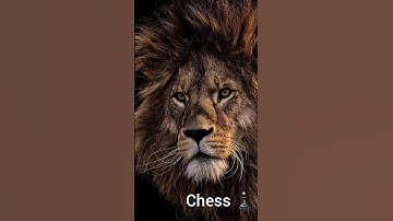 Chess Bullet 1750 rating WIN ♟ #chess