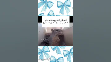 الزࢪگة بناء البقيع حق يافاطمه اكسبلور يا صاحب الزمان Foryou تصميمي 