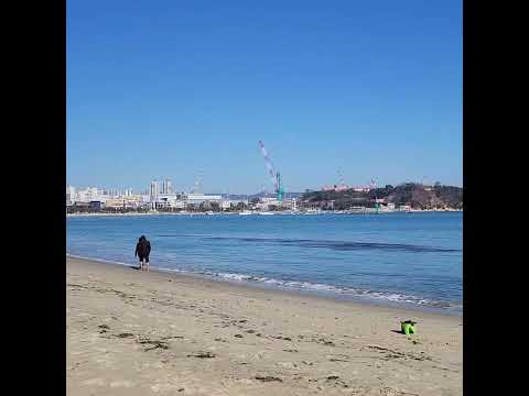 24년 1월 11일  동해 #travel #동해여행