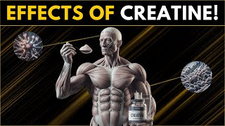 The Good and Bad Effects of Creatine Supplementation (Science Based)