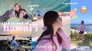 𝐯𝐥𝐨𝐠 | the big island (hawai'i) 🌺 ✧︎ swimming with dolphins, lagoon, fruit stand, shopping !