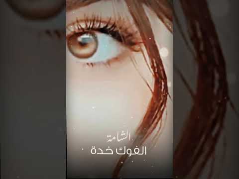 اويلي شايل عيون المراه ذواقه اغاني عراقيه تصميمي اكسبلور