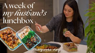 a week of husband’s lunchbox ep. 6 🍱 *easy recipes*