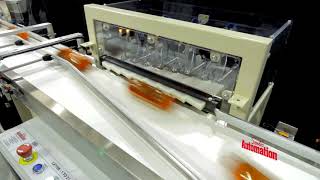 1 to 2 lane diverter - Sewtec