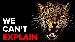 The Truth About Apex Predators That 