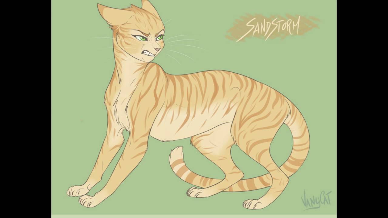 Top ten most beautiful shecats in warriors YouTube