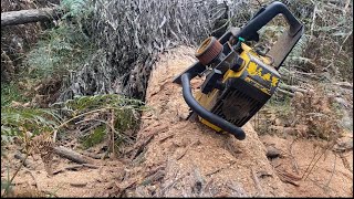 Ported PM610 24 inch .058 3/8 test by Brendo’s Ghana Send It Saws 166 views 2 weeks ago 24 minutes