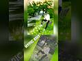 Prince Editor Shanto #shorts #photoediting #hypic #lightroom #photoshop #picsart #snapseed