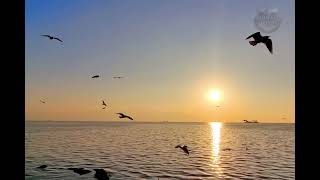 Whispers of UDU | Gentle Dawn