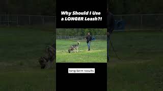 Why You Should Try a Longer Leash if Your Dog Pulls #dogtraining #dogtrainer #dogtraining101 #puppy