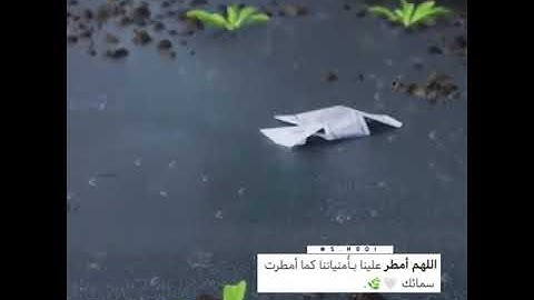 "واطيعوا الله واطيعوا الرسول"||تلاوة جميلة للقارئ رعد الكردي💚