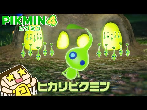 【ピクミン４#９】かわいすぎる！ヒカリピクミンと夜の探索に！