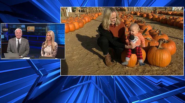 Allie Wagner's baby boy Archer visits the Pumpkin ...