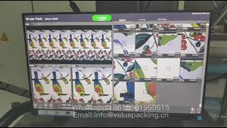 TLEN807 In-line auto print defects inspection system on rotogravure print press