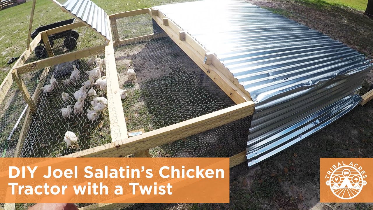 DIY Joel Salatin's Chicken Tractor with a Twist YouTube