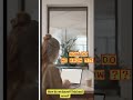 Drivers license Hack 2025 !! #creditrepair
