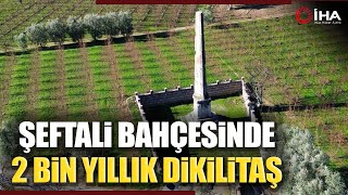 İznikteki Şeftali Bahçesinde 2 Bin Yıllık Dikilitaş