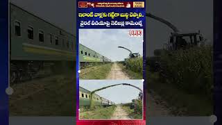 Viral Train Loading Video Draws Criticism on Social Media 😡😡|| Viral Video || BRK News