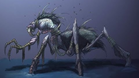 Two Bugs And Three Tricks