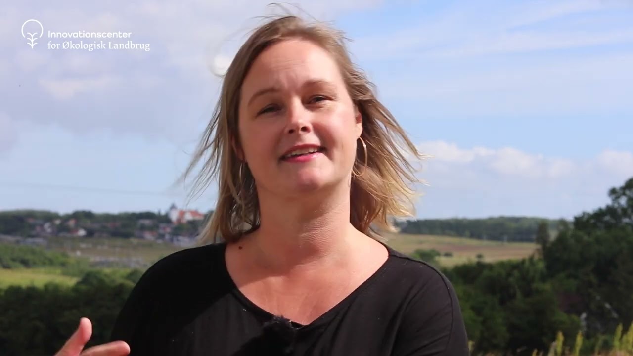 Erfaringer med danske økologiske valnødder