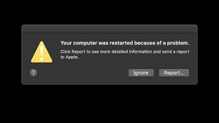 Your Computer Was Restarted Because Of A Problem Fix