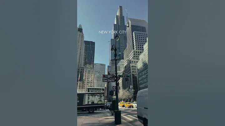 Concrete Jungle #nyc #ny #newyork #newyorkcity #youtubeshorts #shorts