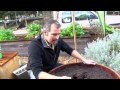 How to make a wicking bed container food garden